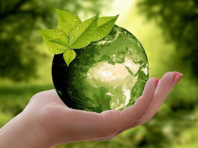 consultation de naturopathie